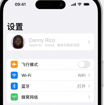 灌南appleID维修服务iPhone设置中Apple ID显示为灰色无法使用 