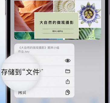 灌南apple维修中心分享iPhone文件应用中存储和找到下载文件