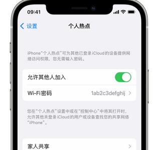 灌南apple服务站点分享iPhone上个人热点丢失了怎么办