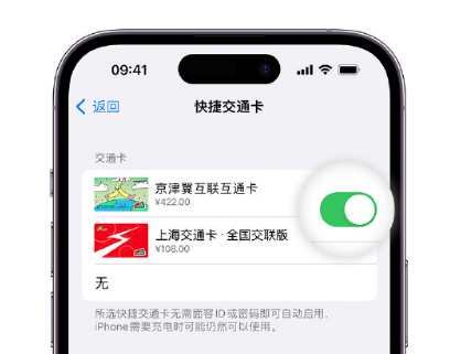 灌南apple维修点分享iPhone上更换Apple Pay快捷交通卡手绘卡面 