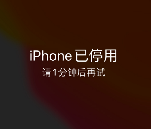 灌南苹果手机维修分享:iPhone 显示“不可用”或“已停用”怎么办？还能保留数据吗？ 