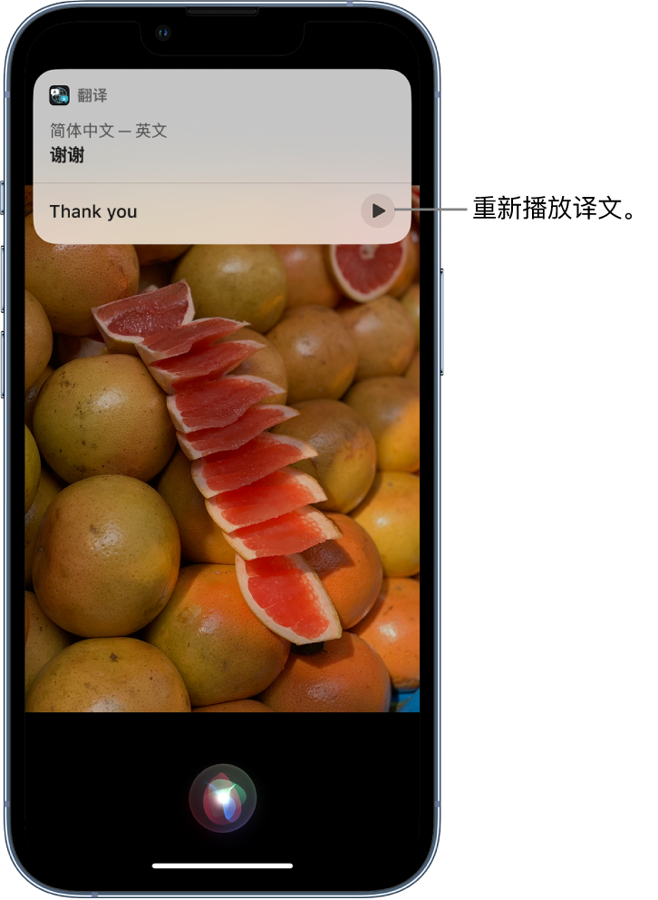 灌南苹果14维修分享 iPhone 14 机型中使用 Siri：了解 Siri 能帮你做什么 